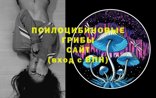 стафф Кулебаки